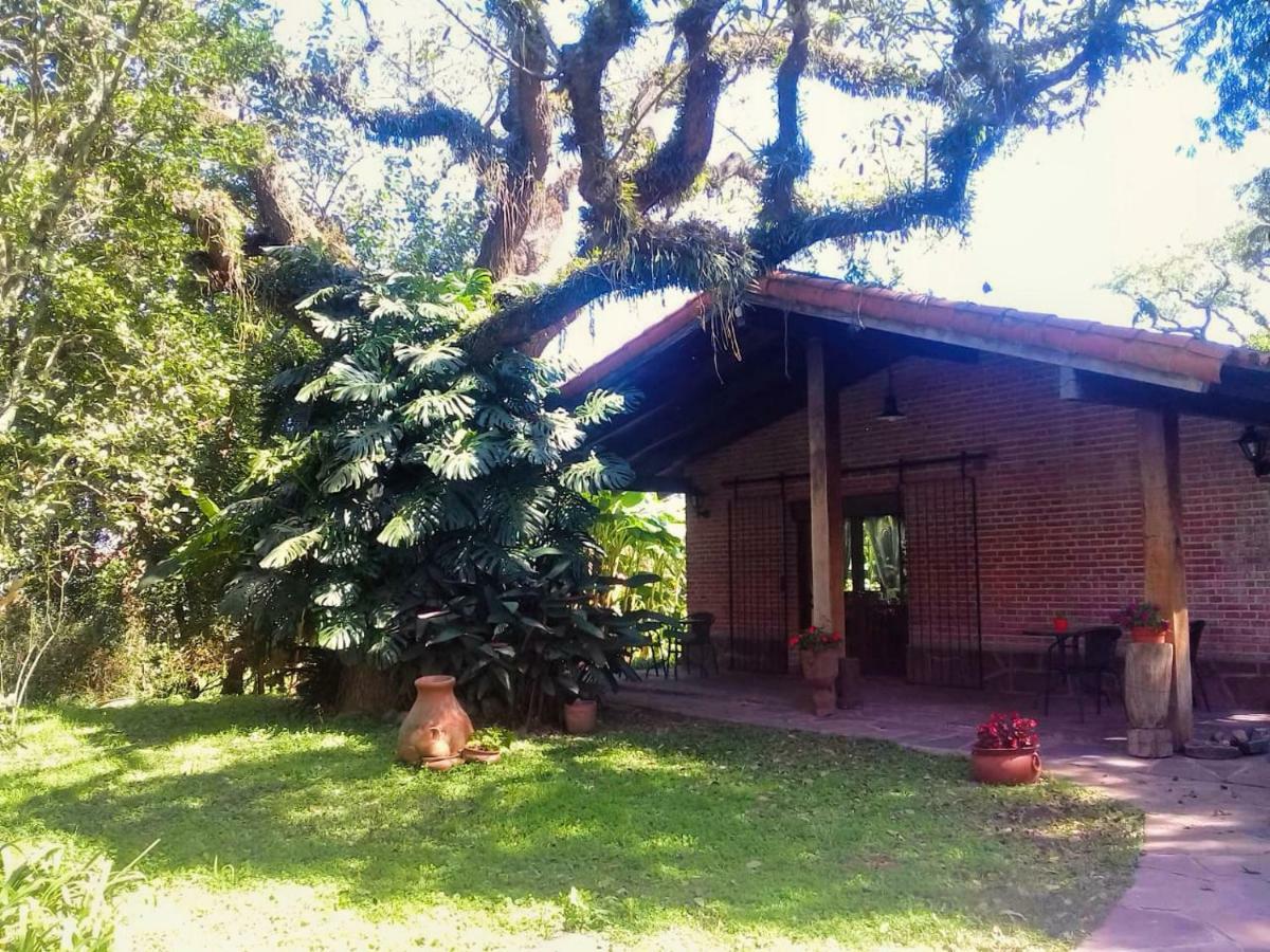 Terrazas Del Coya Pansiyon San Salvador de Jujuy Dış mekan fotoğraf